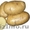 продам семенной картофель из Белоруссии в Нальчике - Изображение #1, Объявление #1315247